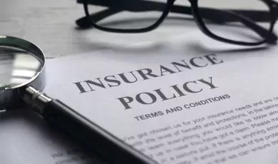 USA Business Policy Overview